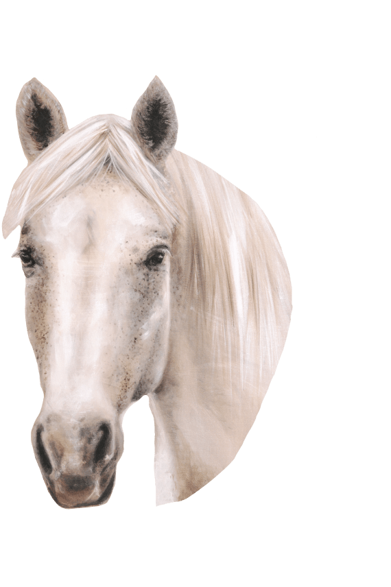 SILITYSKUVA WHITE HORSE 17,5x11,5cm valkoinen